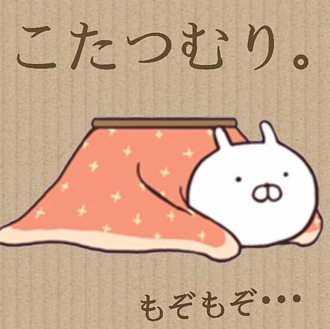 こたつむり